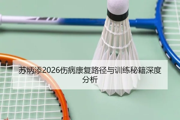 苏炳添2026伤病康复路径与训练秘籍深度分析