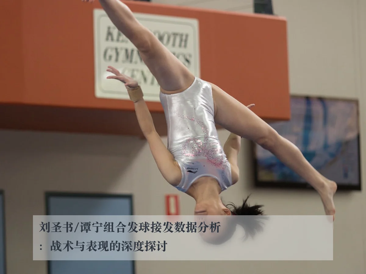 刘圣书/谭宁组合发球接发数据分析：战术与表现的深度探讨